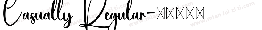 Casually Regular字体转换
